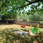 Apartament David *
