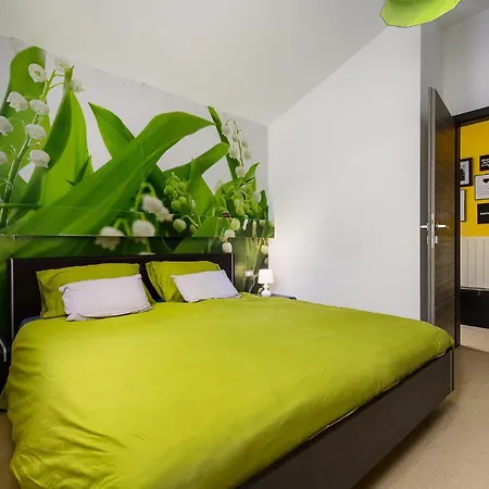Apartment David Dracevac