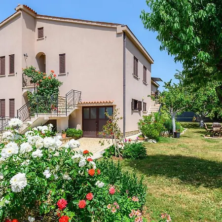 David Apartament *