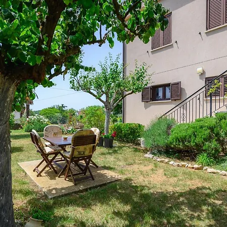 David Apartament *