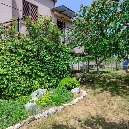 Apartament David *