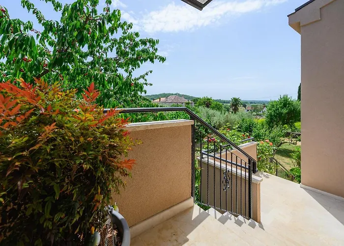 David Apartman Dračevac