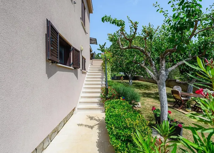 David Apartman Dračevac