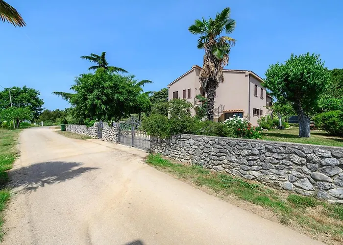 David Apartman Dračevac